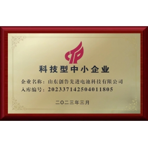 科技型中小企業(yè)